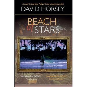 Beach of Stars -- David Horsey